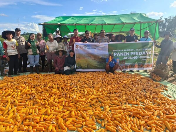 Feature :  Dari Ladang Desa hingga Gudang Bulog, Jagung Menjadi Simbol Ketahanan Pangan di Kalbar