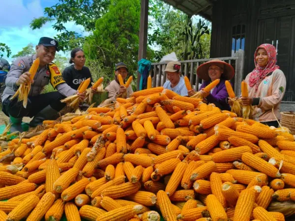 Dari Ladang Asam Besar, Sinergi Polisi dan Petani Dorong Ketahanan Pangan Nasional