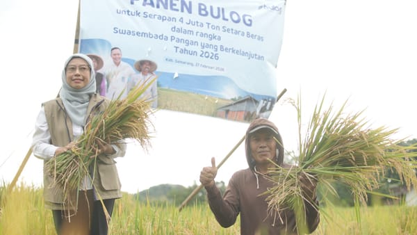 BULOG Catat Rekor Serapan 3 Juta Ton Gabah dan Beras, Jawa Tengah Sumbang 237 Ribu Ton