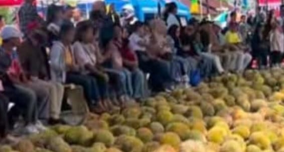 Festival Durian  Hutumuri Dongkrak Ekonomi, 12.500 Durian Diserbu Pengunjung