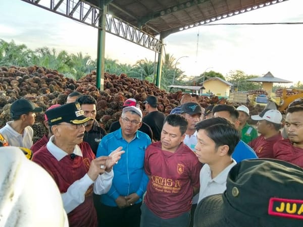 Harga TBS Sawit Turun, Bupati Hendrajoni Lakukan Inspeksi ke Lapangan