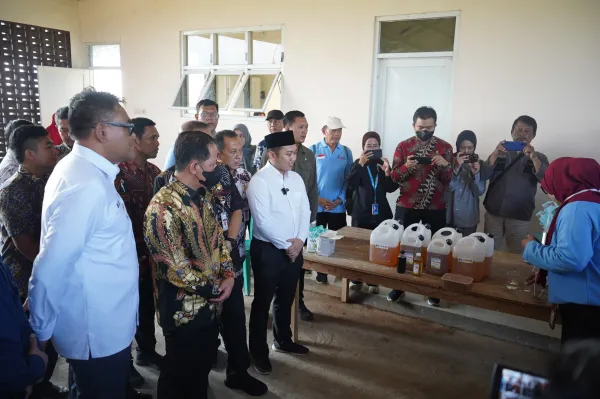 Nelayan Desa Margorejo Siap Menggunakan Petasol Untuk Melaut