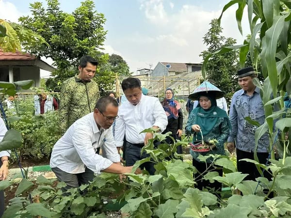 Amalkan dan Kukuhkan Halaman Asri Teratur Indah dan Nyaman di Depok