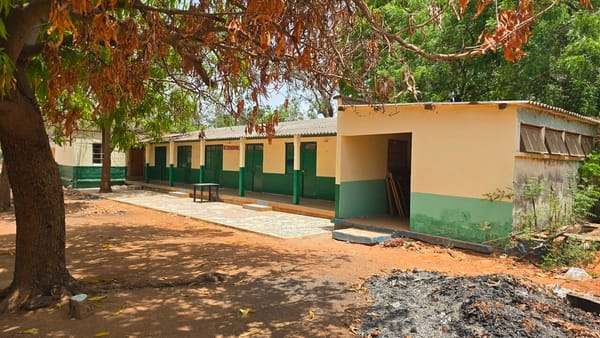 Menabur Benih, Menuai Persahabatan : RI - Gambia Bangun Ketahanan Pangan