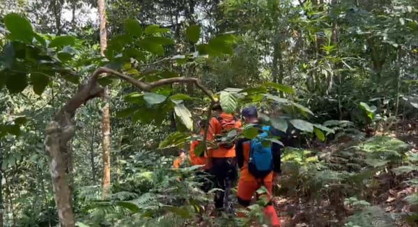 Dua Lansia Hilang di Hutan Brebes dan Purbalingga, Tim SAR Terus Berupaya Lakukan Pencarian
