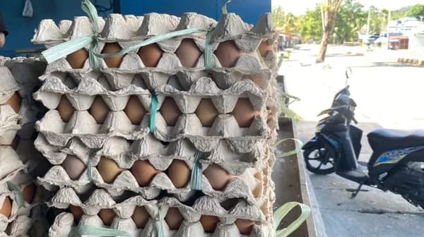 Persediaan Terbatas, Harga Telur Ayam Lokal Di Biak Alami Kenaikan