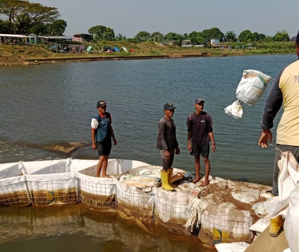Penanganan Darurat di Bendung Karet Jepara Untuk  Pasokan Air Irigasi