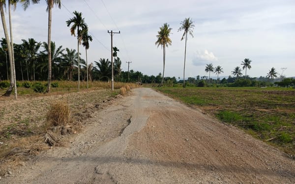 Adanya IJD Warga Aceh Tenggara Lebih Mudah Ambil Hasil Panen