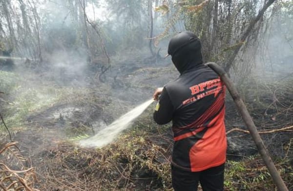 Api Mengintai di Bawah Gambut, 109 Karhutla Hanguskan 42 Hektare di Palangka Raya