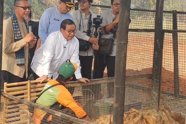Pemprov DKI Bangun Pusat Olah Organik di Ciangir, Pramono: Bukan Alternatif Bantargebang