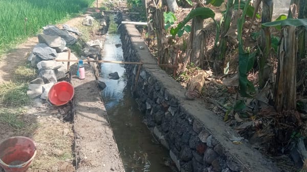 Saluran Irigasi PUPR di Tanggul Wetan Dukung Ketahanan Pangan Jember
