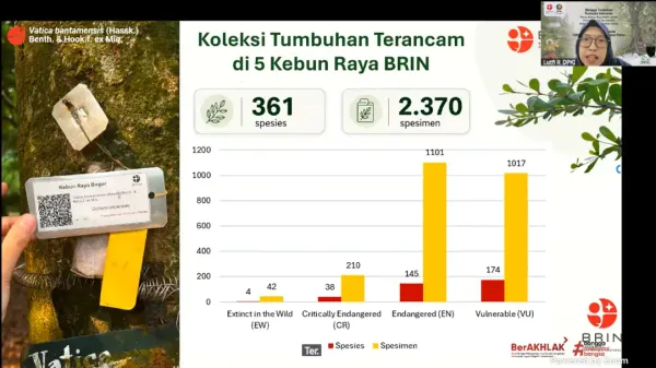 Tumbuhan Terancam Punah Dikoleksi di 5 Kebun Raya BRIN