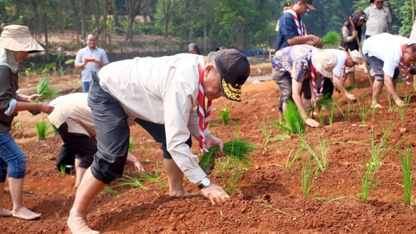 Menanam Asa di Cibubur, Langkah Nyata Pramuka Dukung Swasembada Pangan