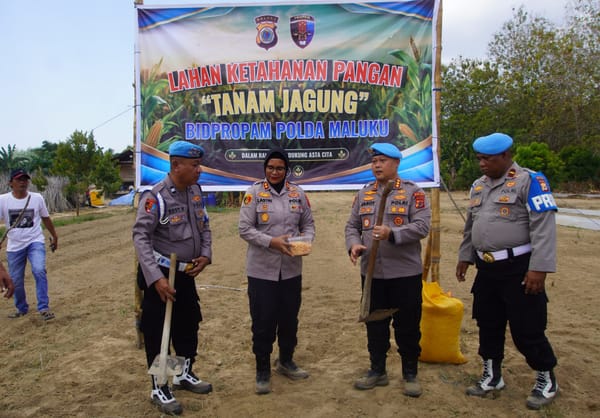 Dari Buru untuk Indonesia: Bidpropam Polda Maluku Tanam 2 Hektare Lahan Jagung