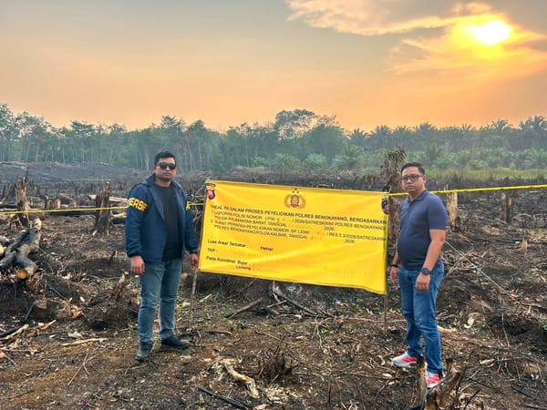 Tujuh Kasus Baru Karhutla Terungkap di Kalbar