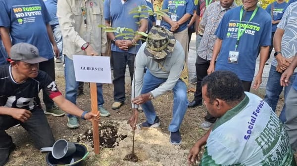 Pemprov Papua Barat Canangkan Gerakan Penanaman Satu Juta Pohon Matoa