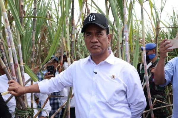 Untuk Meningkatkan Produksi Gula Nasional, Harus Dilakukan Peremajaan Tebu Rakyat