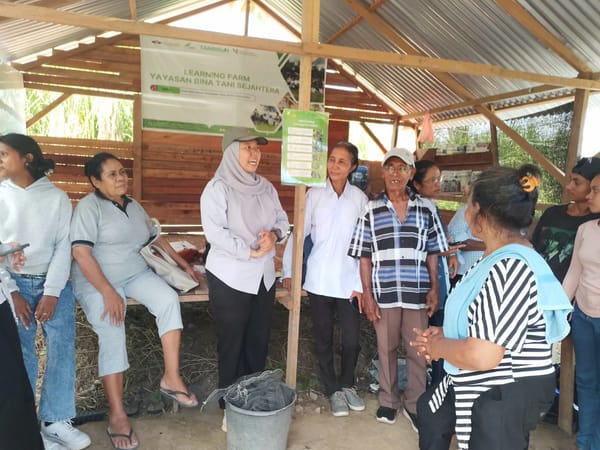 Yayasan Bina Tani Sejahtera Kota Ambon, Gelar Demplot Learning Bagi Petani Urimesing