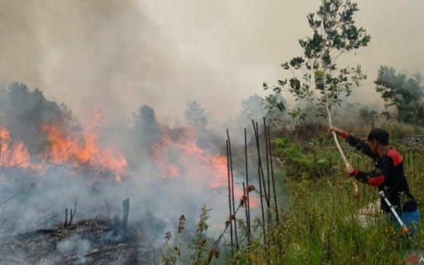 DPW ALUN Kalsel Prihatin Kebakaran Hutan dan Lahan
