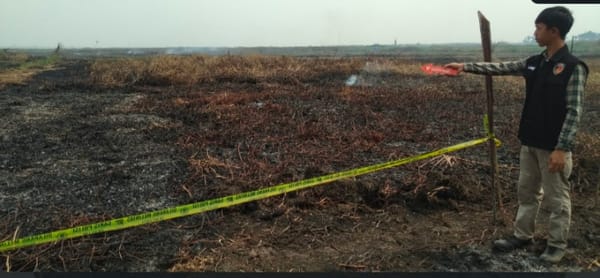 Diduga Bakar Lahan untuk Perkebunan, Seorang Petani di HSS Diamankan Polisi