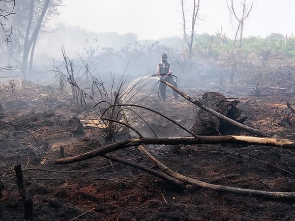 Penanganan Karhutla di Desa Tanjung Leban Kabupaten Bengkalis Terus Dimaksimalkan