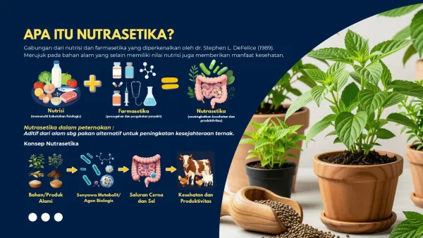 Nutrasetika Berbasis Sumber Daya Lokal Tingkatkan Produktivitas Ternak
