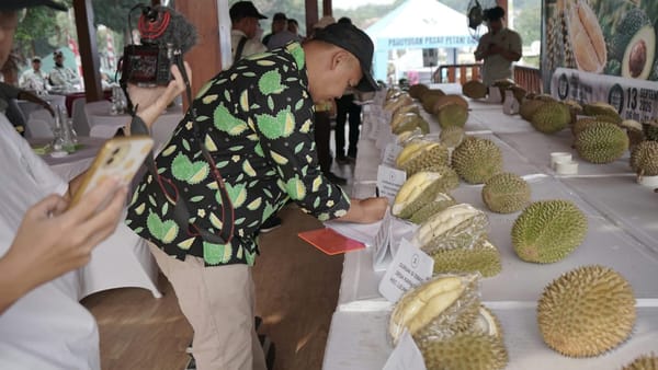 Komoditas Buah Lokal Pemkab Bogor Miliki Peluang Bersaing Dipasar Domestik Dan Internasional