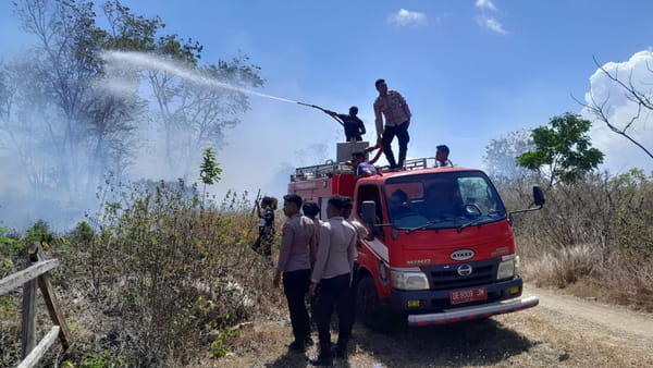 Respons Cepat Cegah Api Meluas, Polres MBD dan Damkar Padamkan Kebakaran Lahan di Tiakur