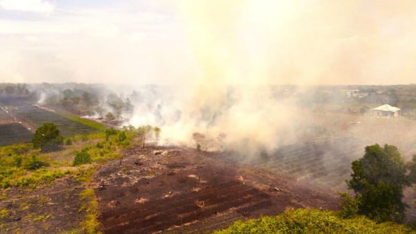 WALHI Desak Pencabutan Izin 14 Konsesi yang Terbakar