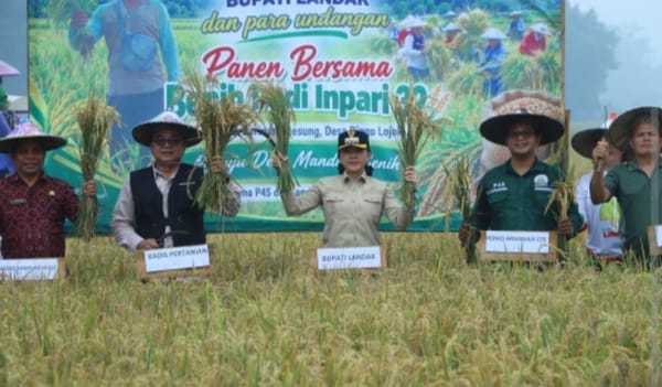Romo, Benih, dan Harapan dari Hulu Landak