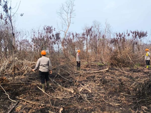 Jejak Api yang Tak Terlihat, Brimob Polda Kalbar Menyisir Gambut Bekas Terbakar