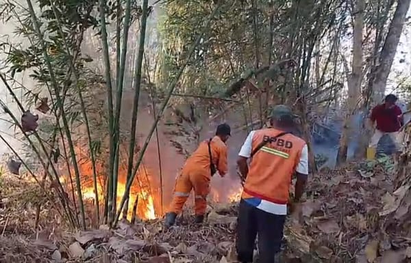 BPBD Banyumas Catat 31 Kebakaran Hutan dan Lahan, Luas Terdampak 25,398 Hektare