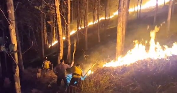 Kebakaran Lahan Jati di Ajibarang Banyumas Berhasil Dipadamkan