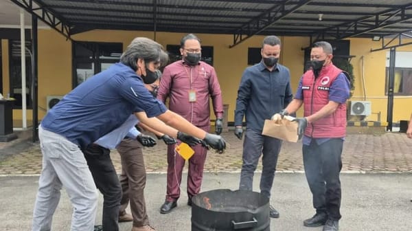 Jajaran Polres Mimika Musnahkan Barang Bukti Narkotika Jenis Ganja