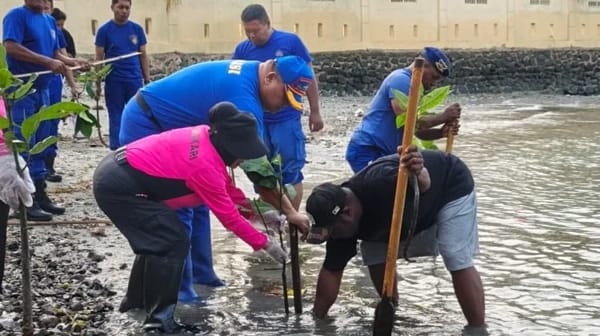 Jaga Kelestarian Pesisir, Ditpolairud Polda PBD Dan Warga Pesisir Tanam Mangrove