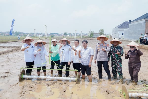 Sektor Pertanian Jadikan Tulang Punggung Perekonomian Lampung &  Mampu Sumbang 28 persen PDRB
