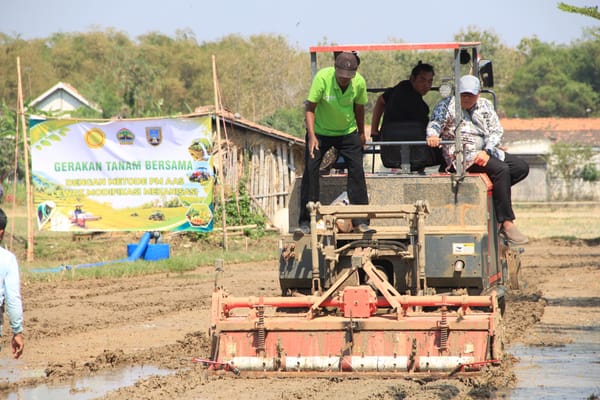 Rembang Terapkan Metode PM-AAS, Produktivitas Padi Berpotensi Naik Jadi 10 Ton per Hektare