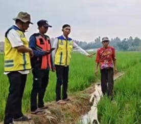 Kementerian PU Pompa Air untuk 35 Hektare Sawah di Lampung Selatan