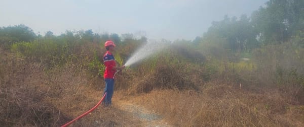 Cuaca Kering Mengancam, Pelindo Gerak Cepat Cegah Karhutla di Pelabuhan Basirih