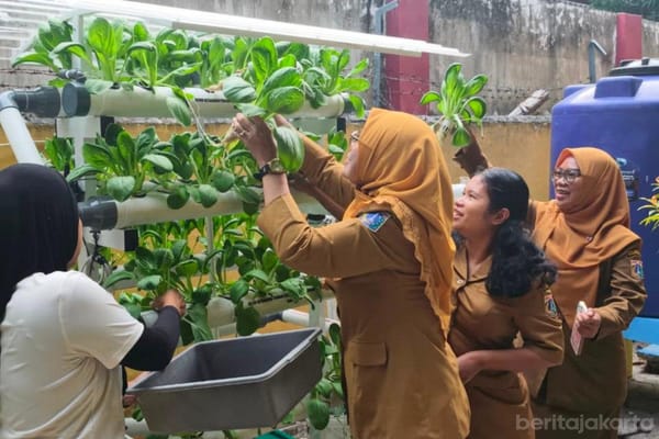 Ditengah Keterbatasan Lahan, Pelajar SMAN 69 Pulau Pramuka Panen Hidroponik