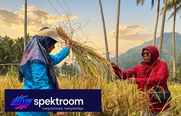 Ubinan Padi Silungkang Jadi Basis Hitung Produksi Sawahlunto, Produktivitas Tembus 7,64 Ton per Hektare