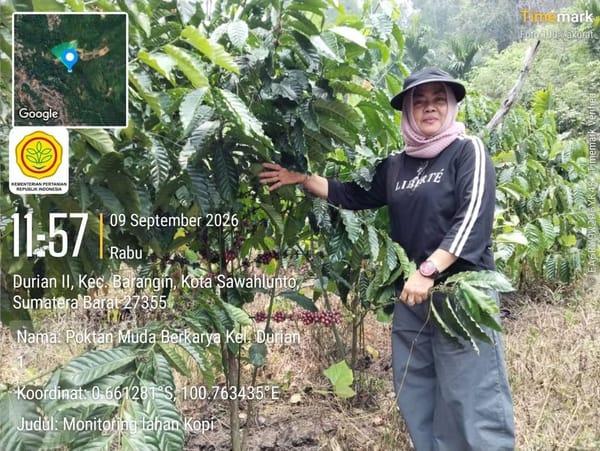 Usai Pelatihan, Pemko Sawahlunto Turun ke Kebun Kopi Pantau Kesiapan Petani