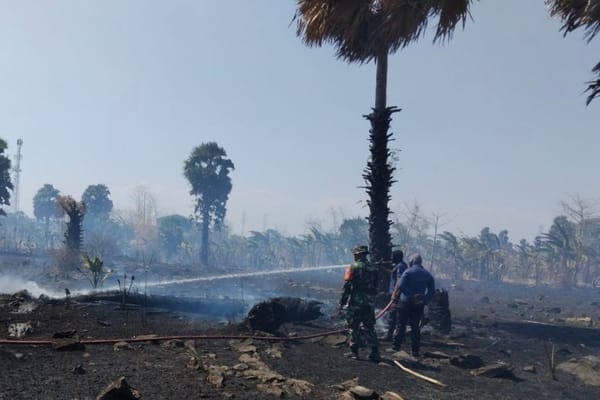 Api Lahap Kebun Warga Babinsa Kodim 1425/Jeneponto Selamatkan lahan Pertanian