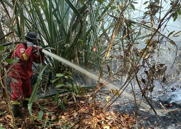 Manggala Agni Masih Berjibaku Padamkan Karhutla di 4 Daerah Riau