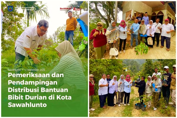 2.800 Bibit Durian Disalurkan untuk 5 Poktan di Sawahlunto, Pemprov Sumbar Pastikan Sesuai Standar