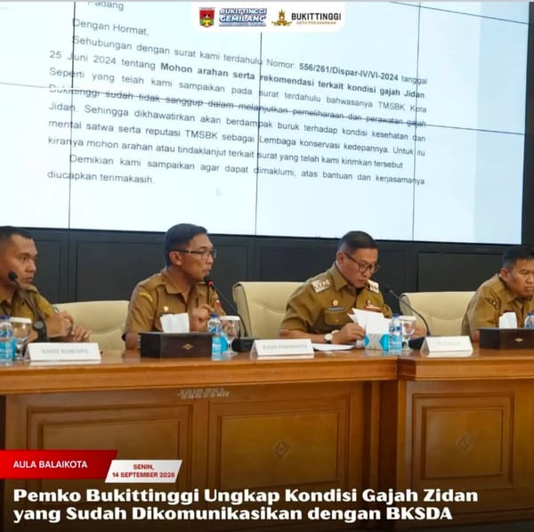 Pemko Bukittinggi Ungkap Kondisi Gajah Zidan yang Sudah Dikomunikasikan dengan BKSDA