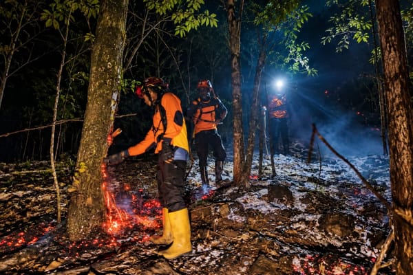 Hasil Kerjasama Berbagai Pihak, Karhutla Gunung Lemongan Padam