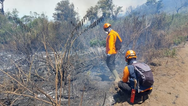 Titik Api Baru di Lereng Gunung Semeru, BPBD Lumajang Peringatkan Warga Desa Ranupane