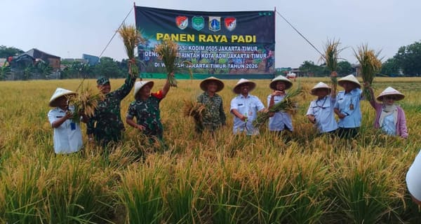 Kodim 0505/JT Kolaborasi dengan Pusbang Benih Panen Raya Jenis Inpari 32
