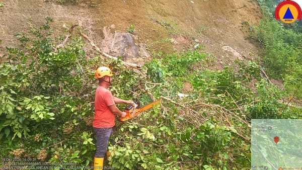 Dikhawatirkan Mengancam Pengguna Jalan, BPBD Agam Tebang Tiga Pohon Rawan Tumbang